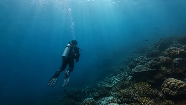 Scuba diver swimming quietly beside a tropical coral reef wall in deep blue water.